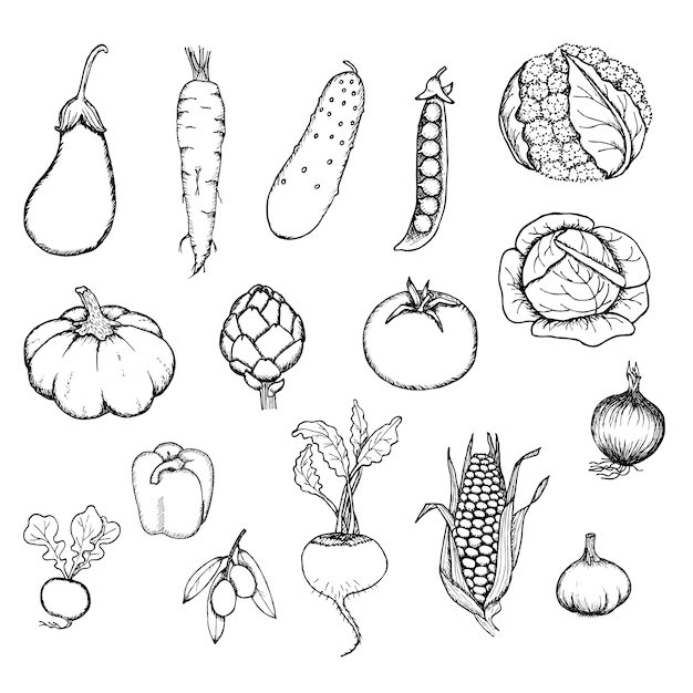 Free Vector | Hand drawn fresh organic vegetables set