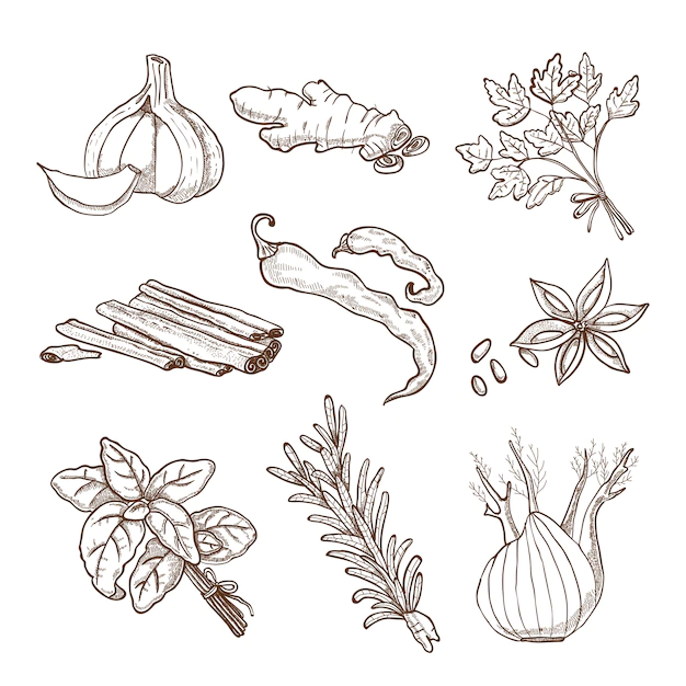 Free Vector | Hand drawn herbs and spices set