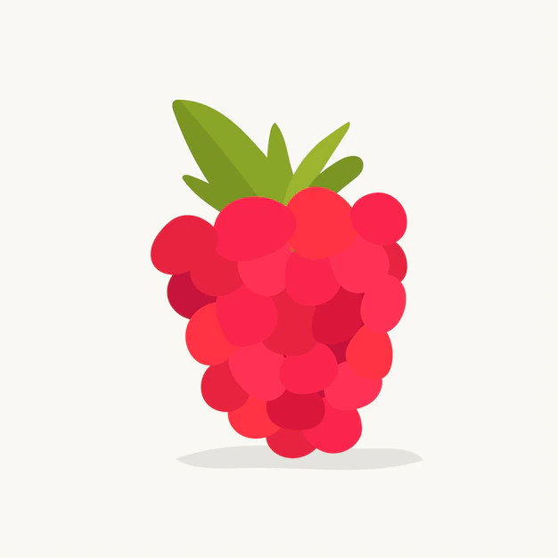Free Vector | Hand drawn raspberry fruit illustration