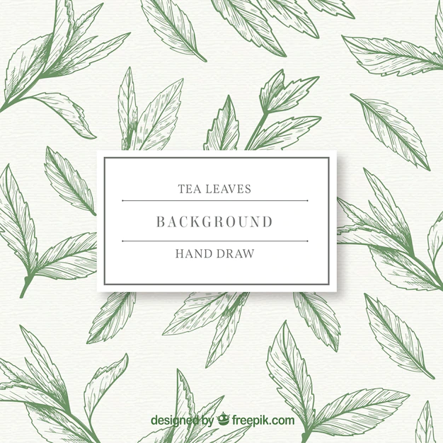 Free Vector | Hand drawn tea leaves background