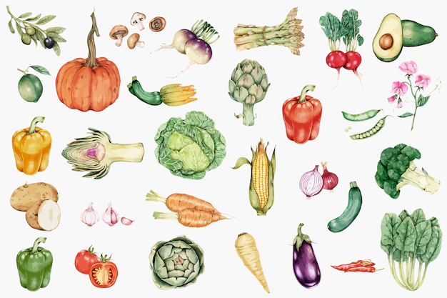 Free Vector | Hand drawn vegetable collection vector
