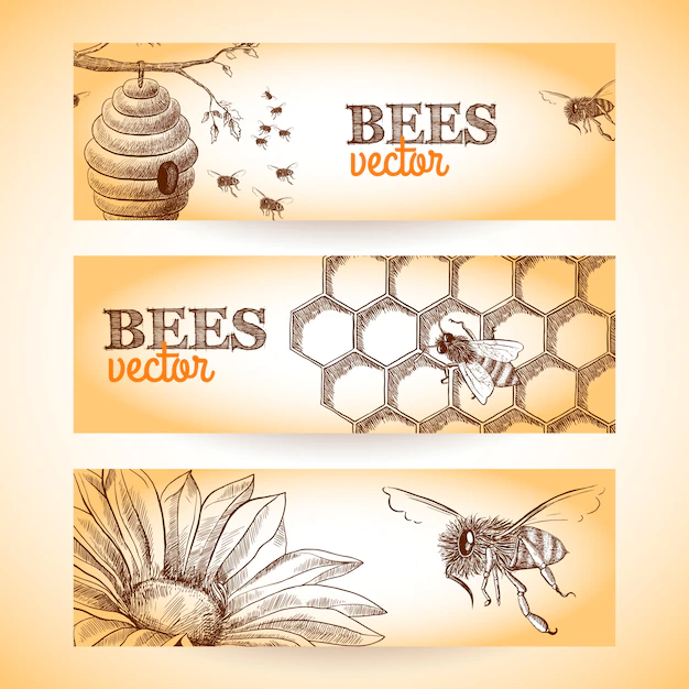 Free Vector | Honey bee hive comb and flower sketch banners set isolated vector illustration.
