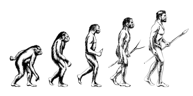 Free Vector | Human evolution. monkey and australopithecus, neanderthal and animal