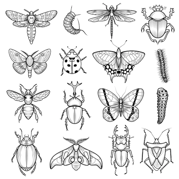 Free Vector | Insects black white line icons set