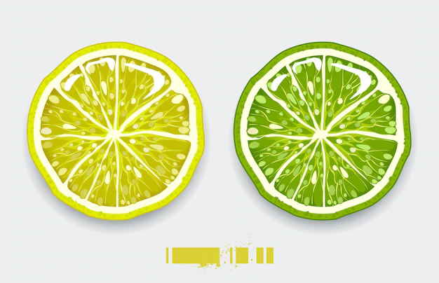 Free Vector | Isolated citric design