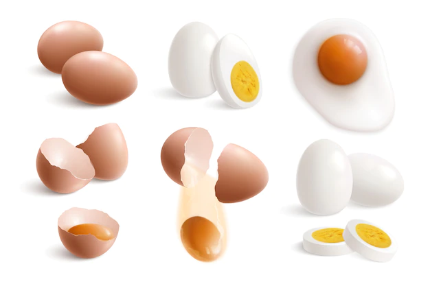 Free Vector | Isolated hen eggs realistic set with boiled fried eggs eggshell and yolks vector illustration