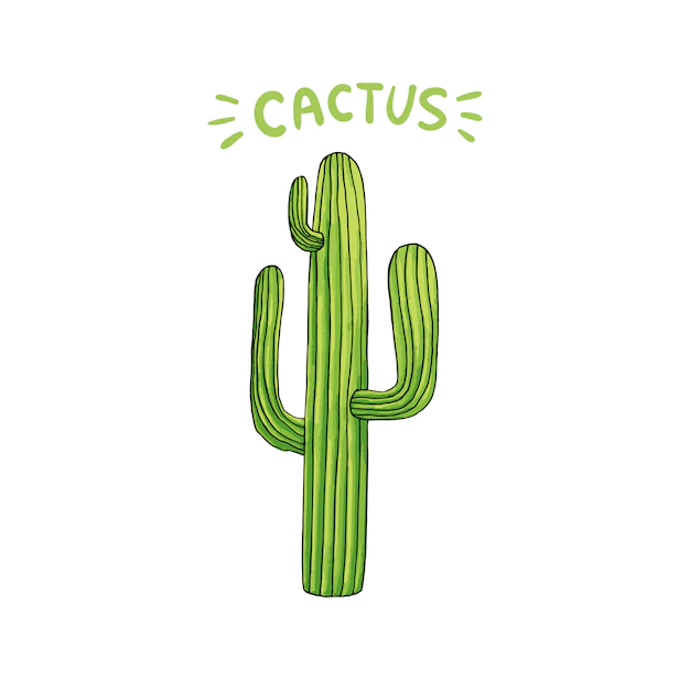 Free Vector | Mexican cactus