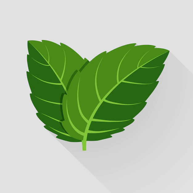 Free Vector | Mint vector leaves. plant mint, green leaf mint, organic and fresh mint illustration