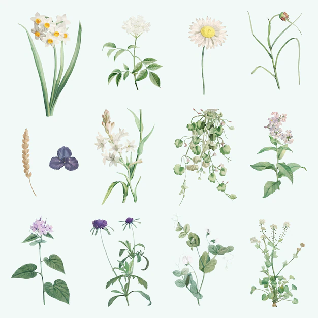 Free Vector | Mixed summer flowers