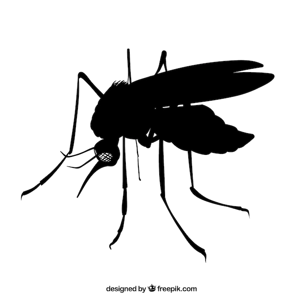 Free Vector | Mosquito side