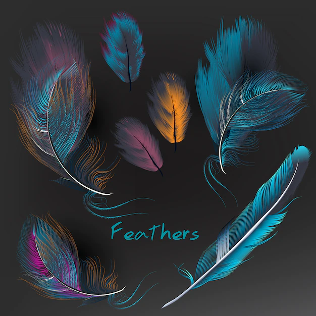 Free Vector | Multicolor feathers collection