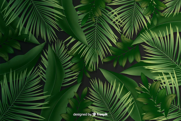 Free Vector | Natural background with realistic leaves