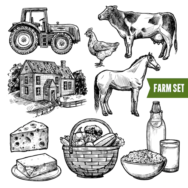 Free Vector | Organic farm set