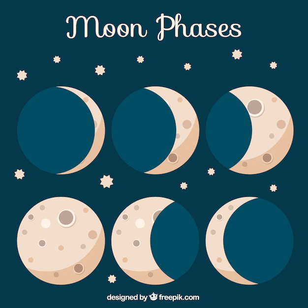 Free Vector | Phases of moon with stars