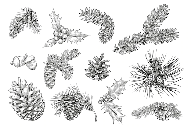 Free Vector | Pine branches isolated hand drawing illustration set