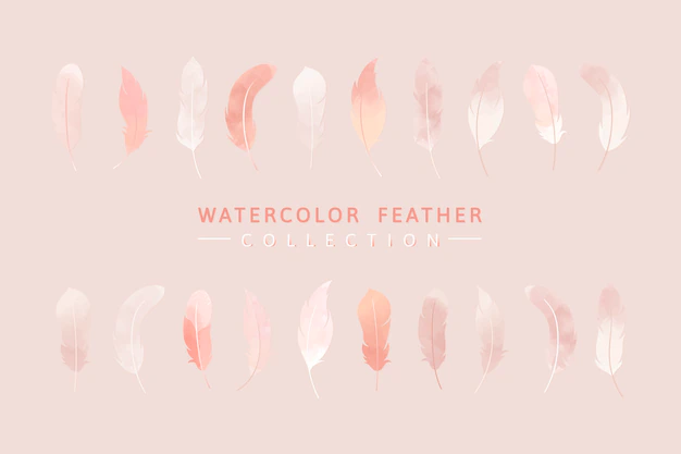 Free Vector | Pink feather background