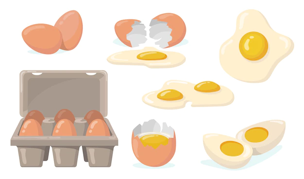 Free Vector | Raw, broken, boiled and fried eggs flat item set. cartoon domestic chicken eggs with yellow yolk isolated vector illustration collection. organic farm products and food concept