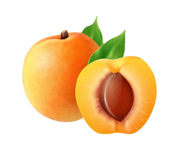 Free Vector | Realistic fruits composition with images of whole and sliced apricot fruit on blank background vector illustration
