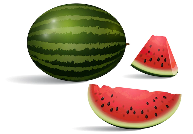 Free Vector | Realistic illustration of watermelon. dessert, peace, slice. fruit concept.