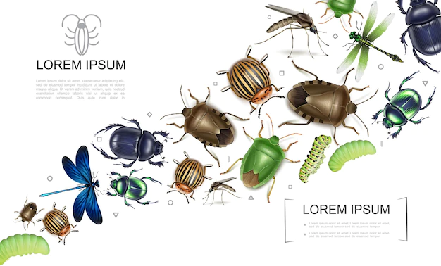 Free Vector | Realistic insects colorful collection with mosquito scarab and dung bugs colorado potato beetle dragonflies caterpillars