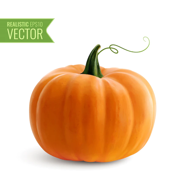 Free Vector | Realistic orange pumpkin icon on white  for decoration halloween or thanksgiving day holidays