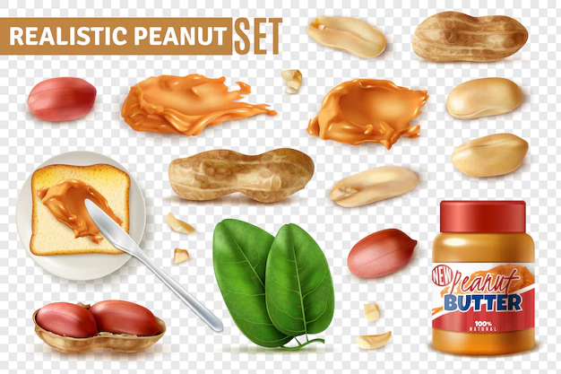 Free Vector | Realistic peanut on transparent  set with isolated arachis beans with shell and jar of butter