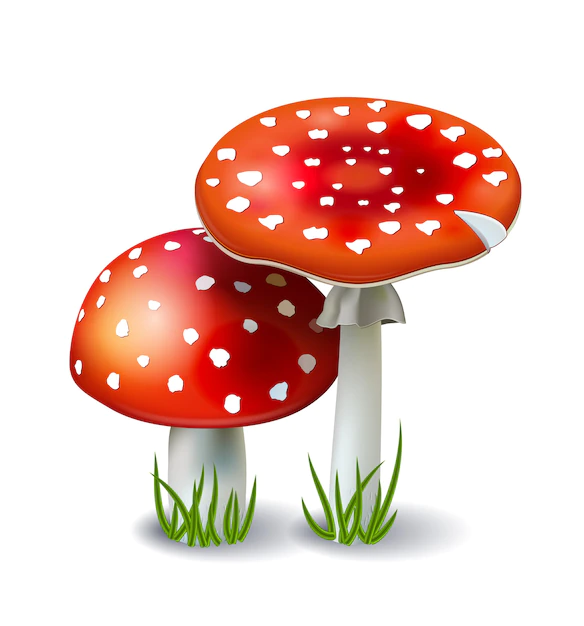 Free Vector | Red amanita mushrooms with grass
