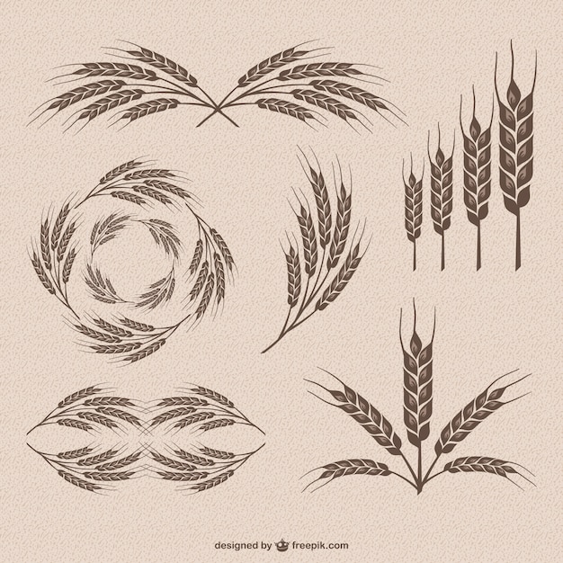 Free Vector | Retro wheat collection