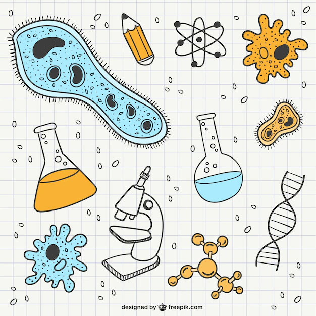 Free Vector | Science and biology scribbles