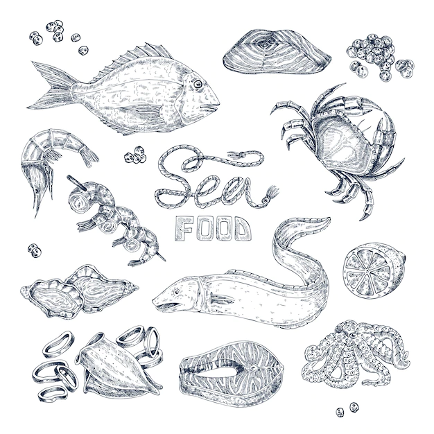 Free Vector | Seafood monochrome sketches set