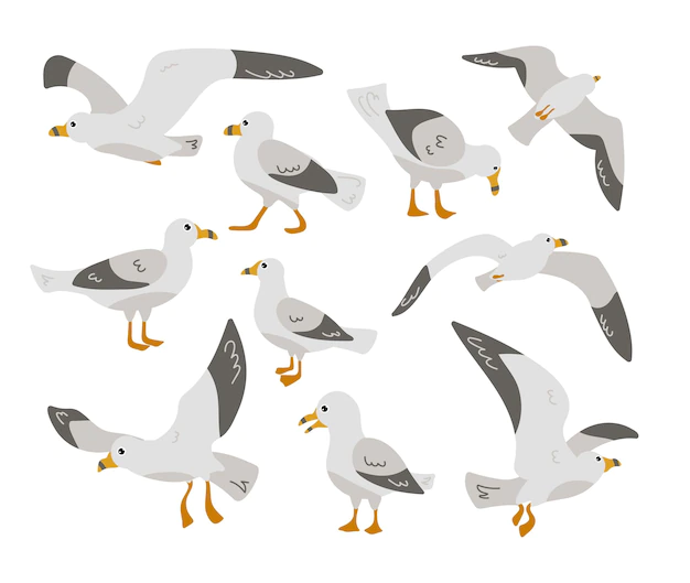Free Vector | Seagull cartoon character flat vector illustrations set. cute comic gulls, atlantic birds with white feathers and yellow feet for sea, beach or port landscape. nature, animals, wildlife concept