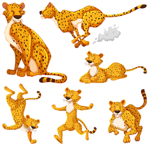 Free Vector | Set of cheetah cartoon character