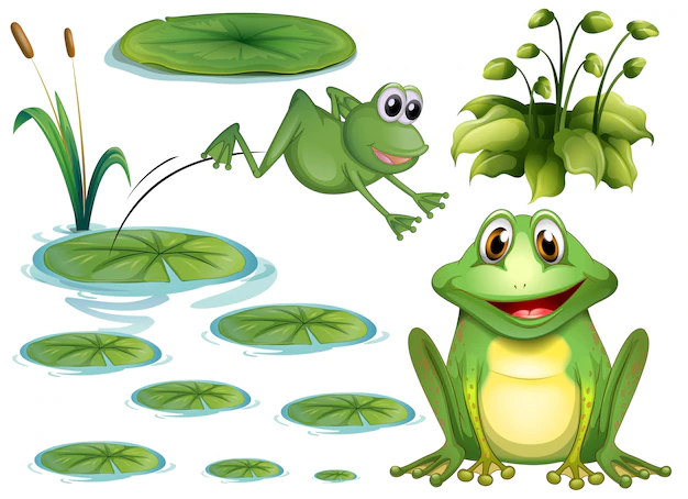 Free Vector | Set of green frog and water lily