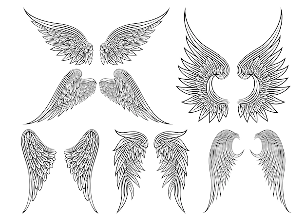 Free Vector | Set of heraldic wings or angel wings drawn black lines. vector illustration