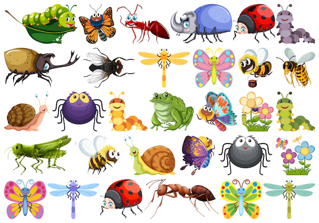 Free Vector | Set of insect character