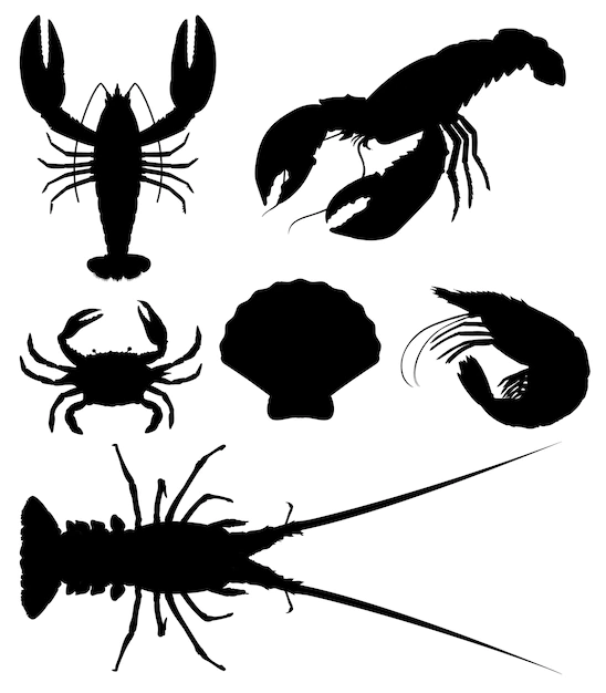 Free Vector | Set of silhouette seafood