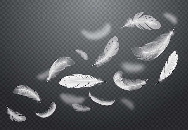 Free Vector | Set of white falling bird feathers on dark transparent  in realistic style  illustration