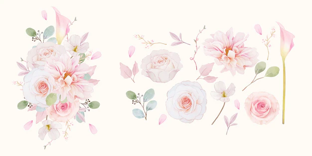 Free Vector | Set watercolor elements of pink roses  dahlia and lily flower