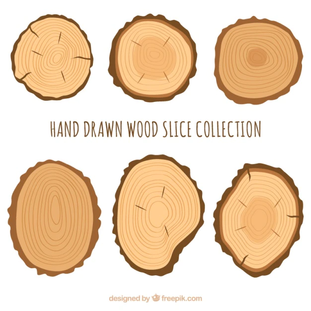 Free Vector | Six wood slices