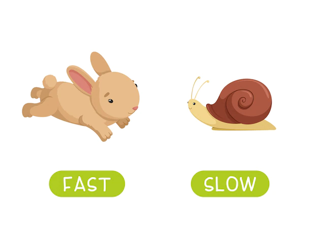Free Vector | Slow and fast antonyms word card