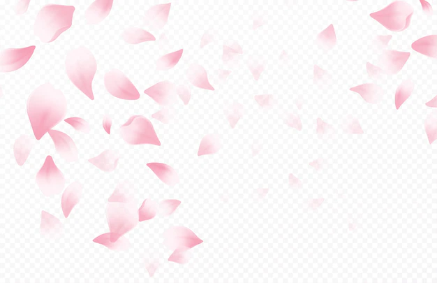 Free Vector | Spring time beautiful background with spring blooming cherry blossoms. sakura flying petals isolated on white background. vector illustration eps10