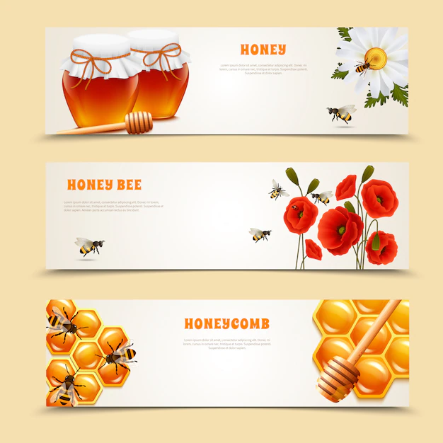 Free Vector | Three honey banner set