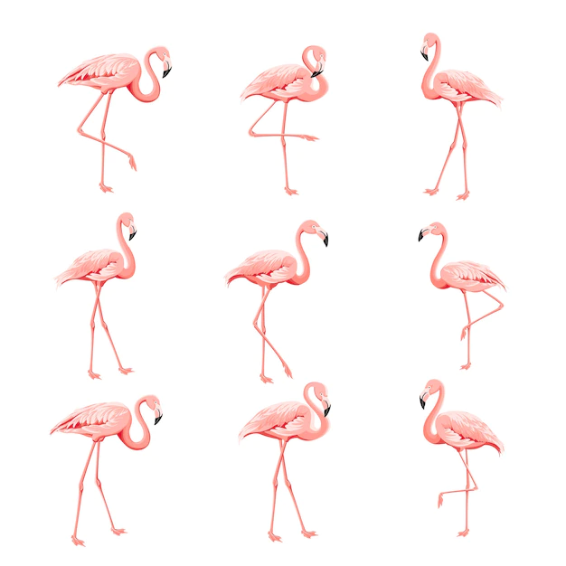 Free Vector | Tropical collection pink flamingos