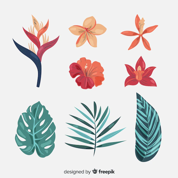 Free Vector | Tropical flowers and leaves collection