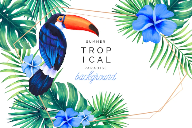 Free Vector | Tropical paradise background with golden frame