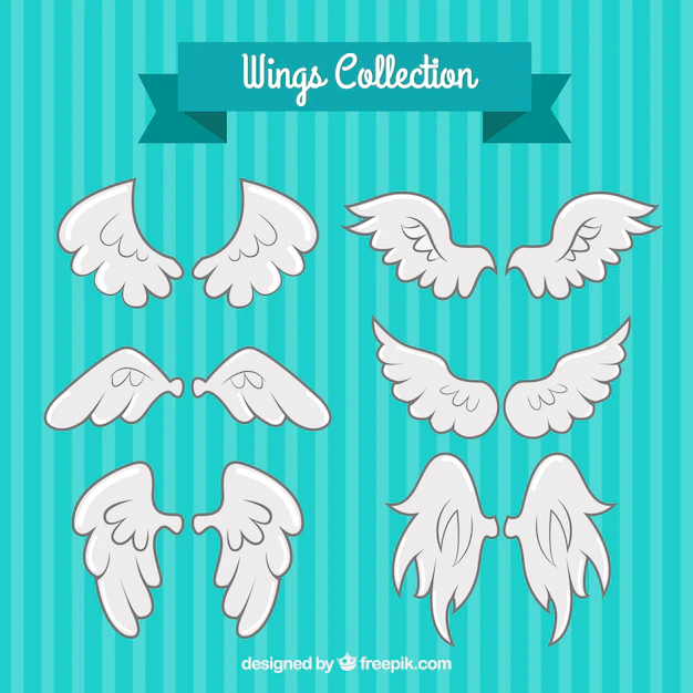 Free Vector | Variety of fantastic white wings