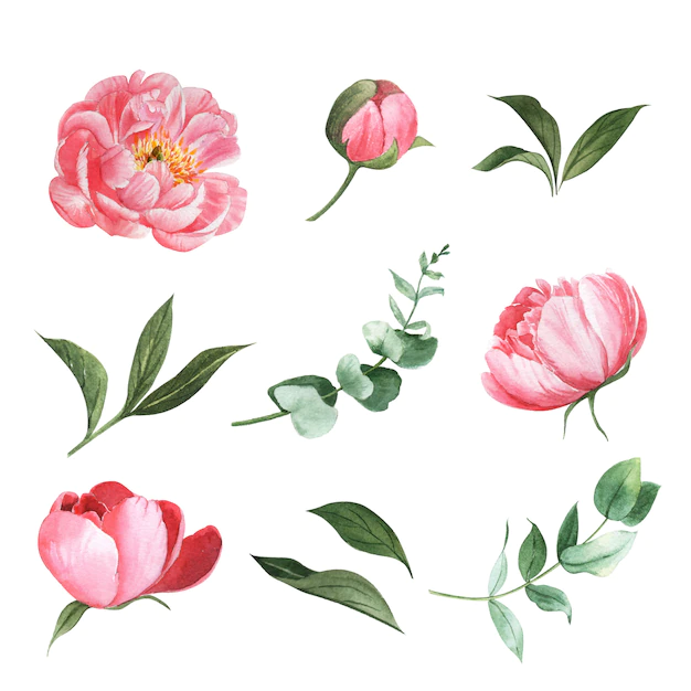 Free Vector | Various flower watercolor set design element