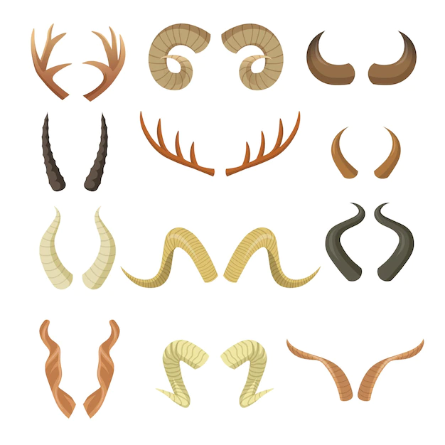 Free Vector | Various horns set. pairs of antlers, ram, reindeer, moose, cow, deer, antelope, stag horny parts isolated on white