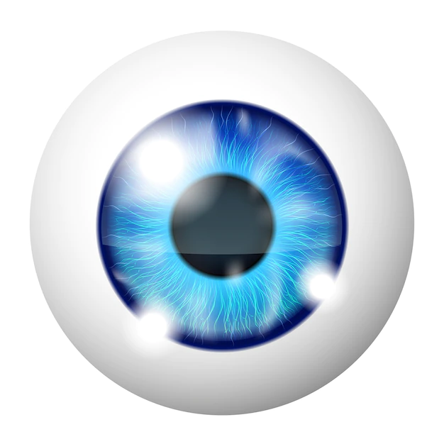 Free Vector | Vector blue human eye macro over white