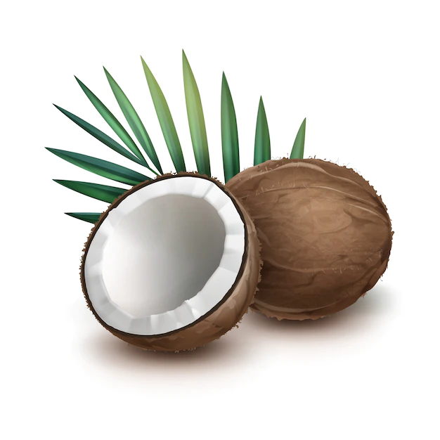 Free Vector | Vector brown whole and half coconut with green palm leaf isolated on white background